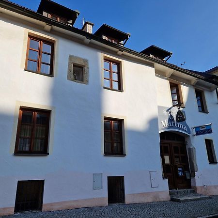 Pension U Martina Domažlice Exterior foto